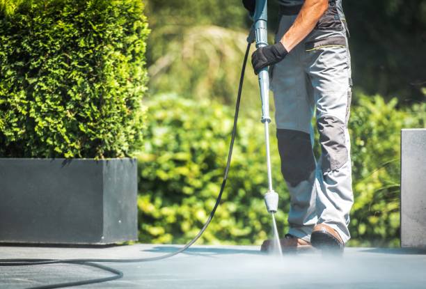 Best Patio and Deck Pressure Washing  in Las Lomas, CA