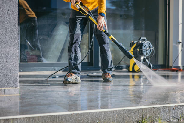 Best Solar Panel Cleaning  in Las Lomas, CA