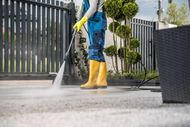 Best Driveway Pressure Washing  in Las Lomas, CA